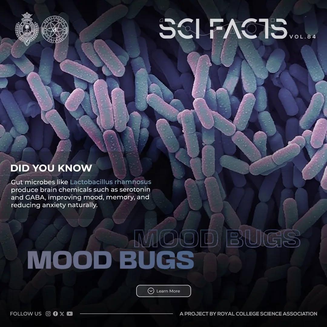 SCI FACTS'25 - Mood Bugs