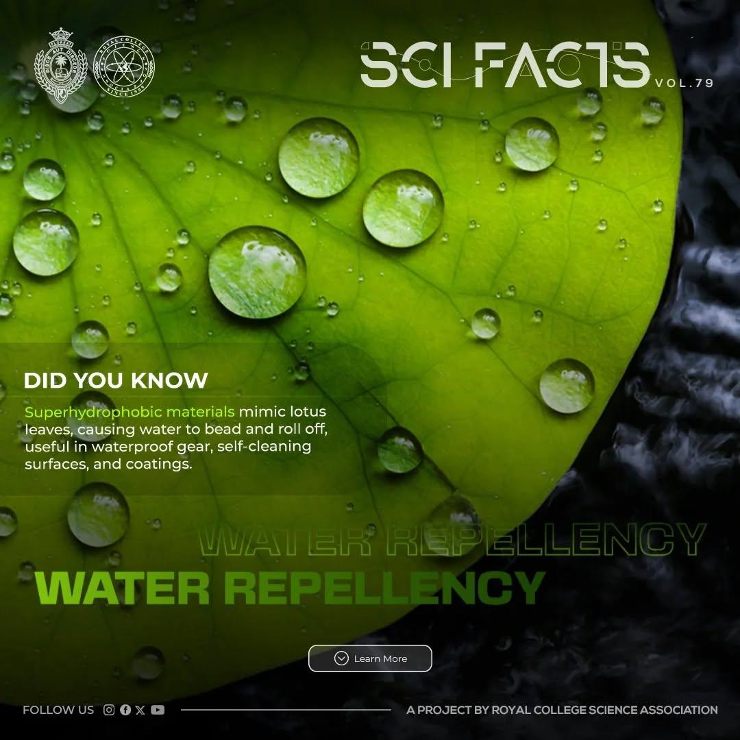 SCI FACTS'25 - Water Repellency