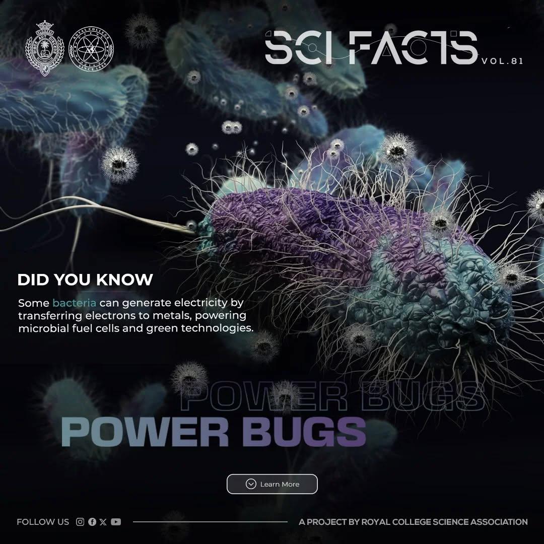 SCI FACTS'25 - Power Bugs