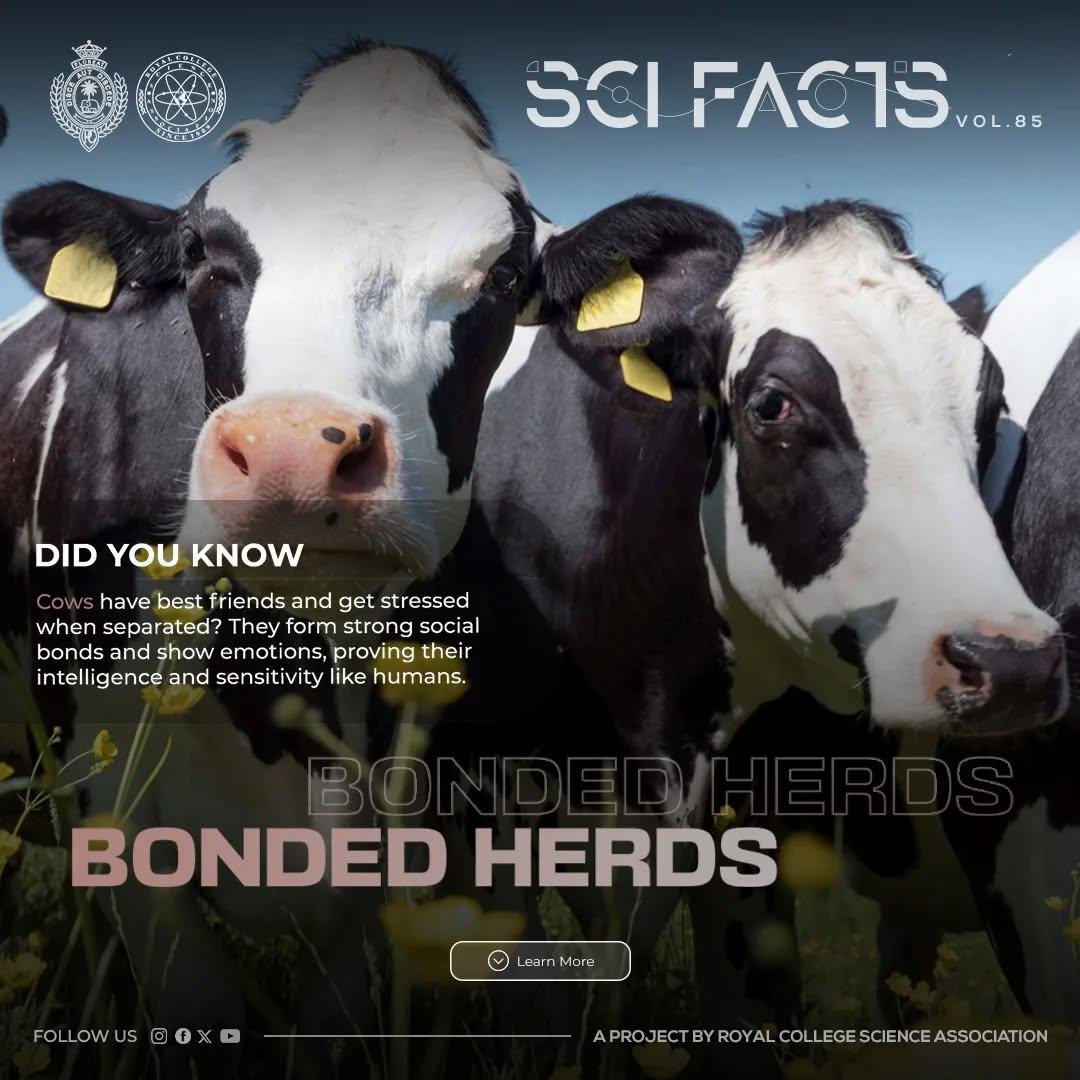 SCI FACTS'25 - Bonded Herds