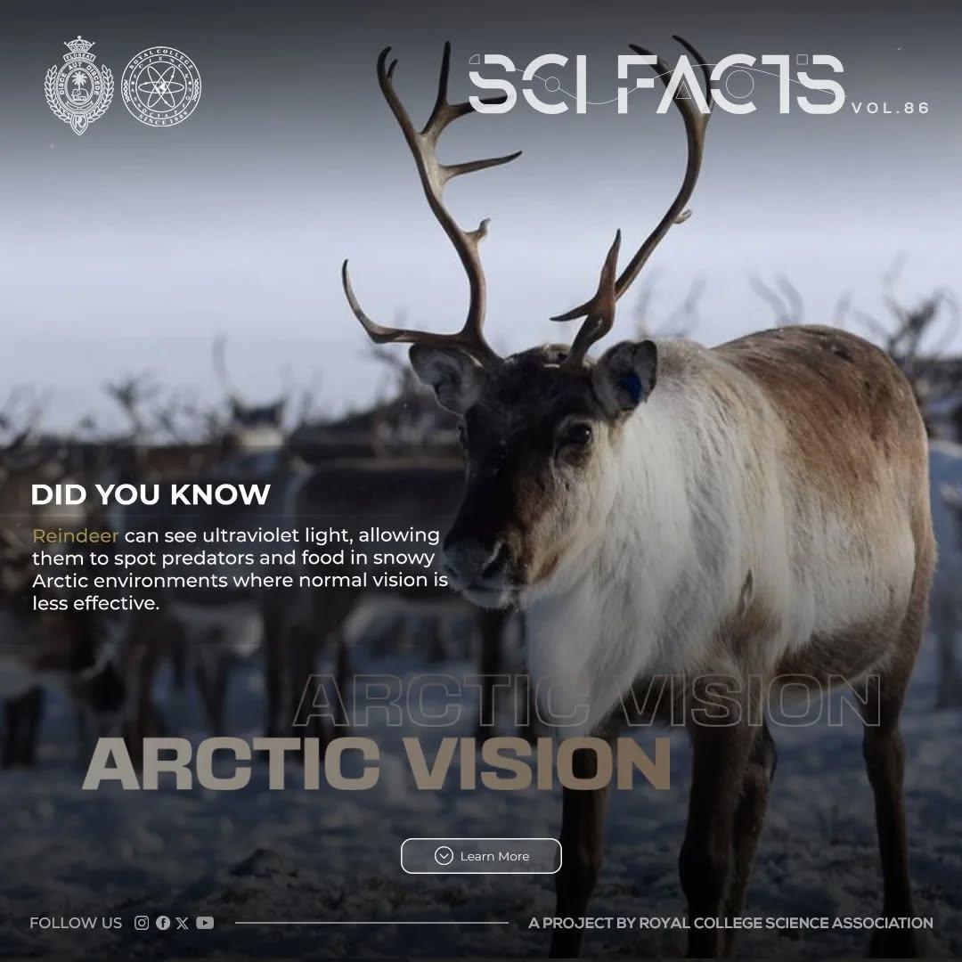 SCI FACTS'25 - Arctic Vision