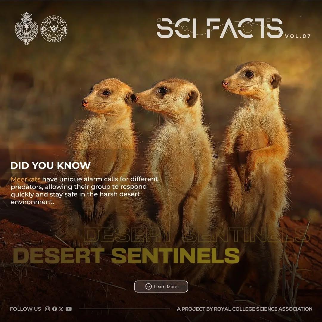 SCI FACTS'25 - Desert Sentinels