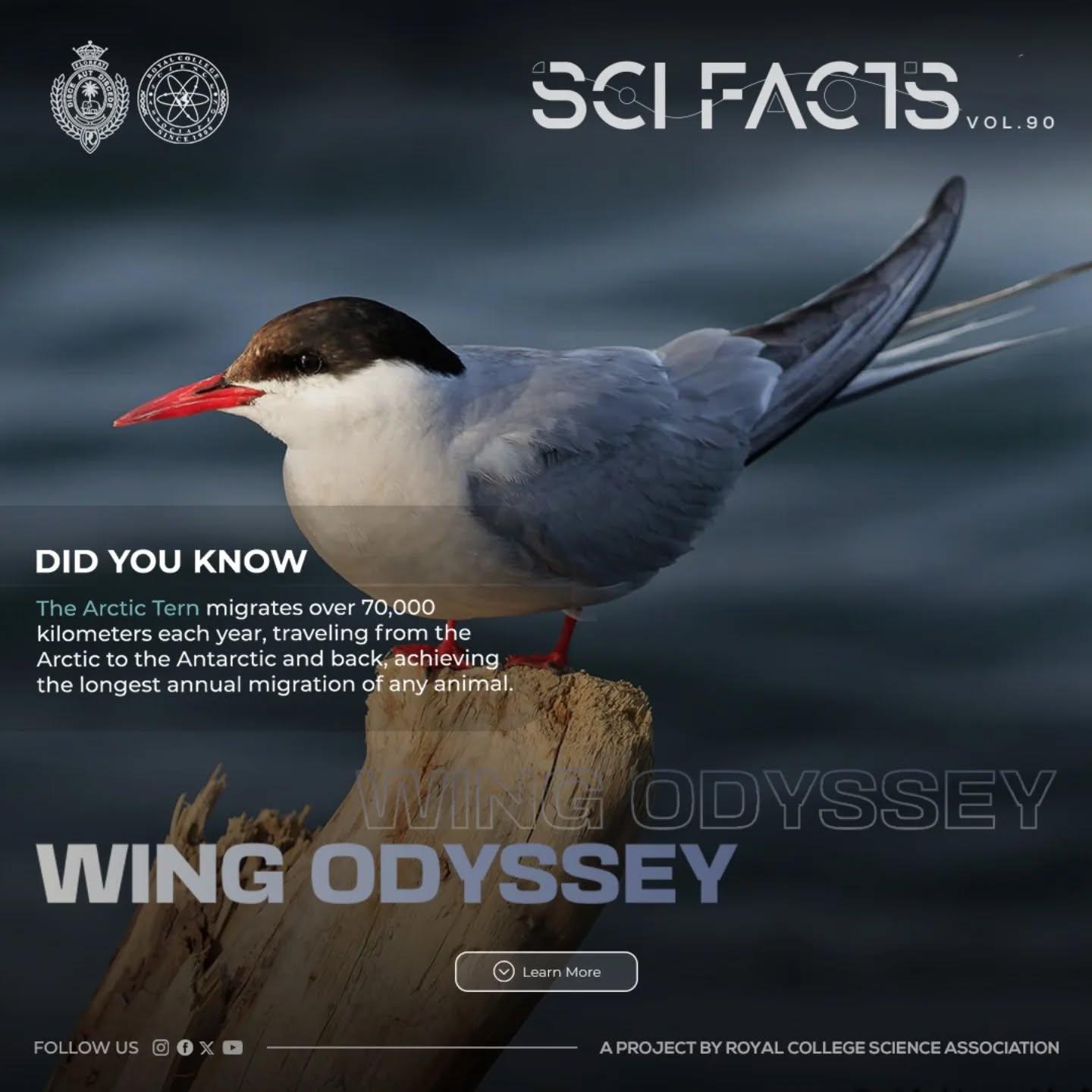 SCI FACTS'25 - Wing Odyssey