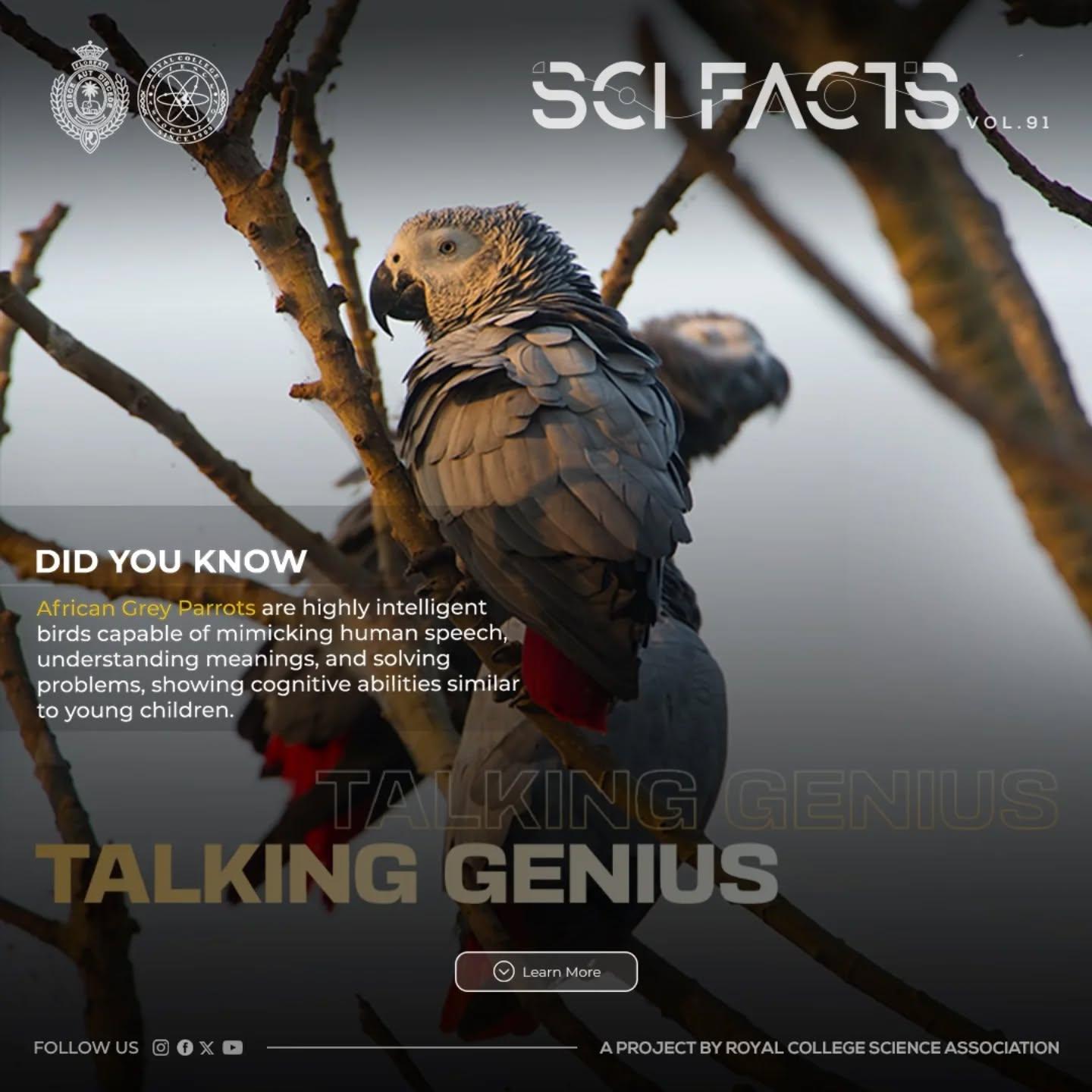 SCI FACTS'25 - Talking Genius