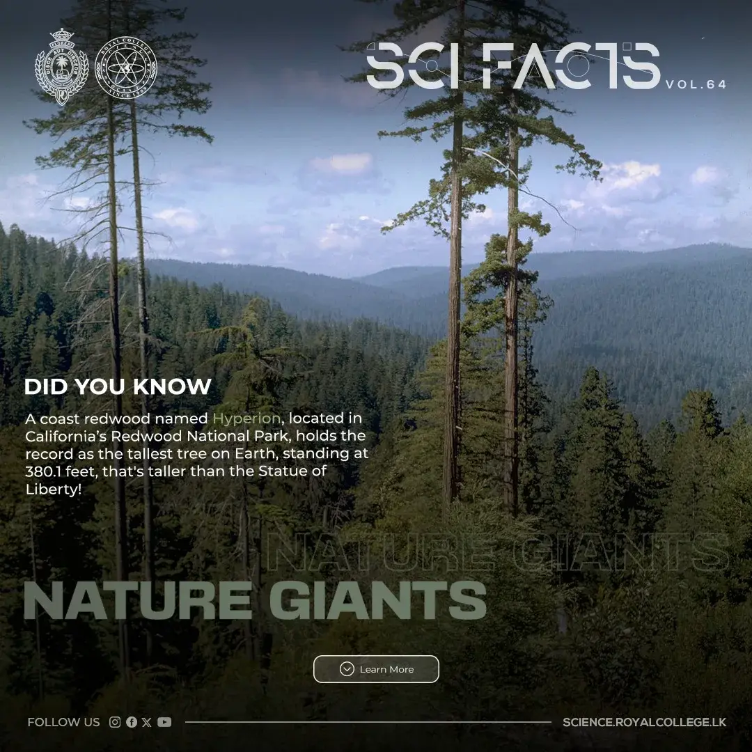 SCI FACTS'25 - Nature Giants