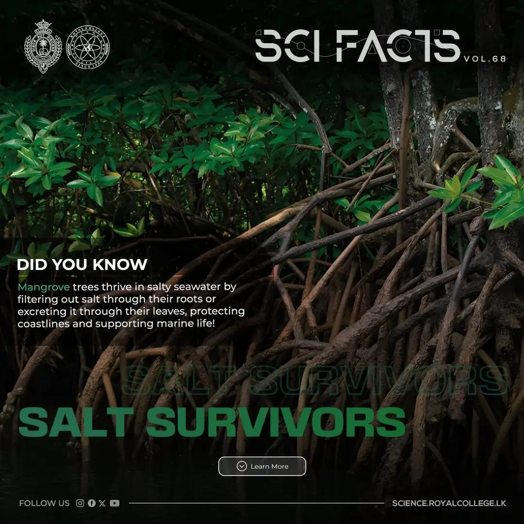 SCI FACTS'25 - Salt Survivors