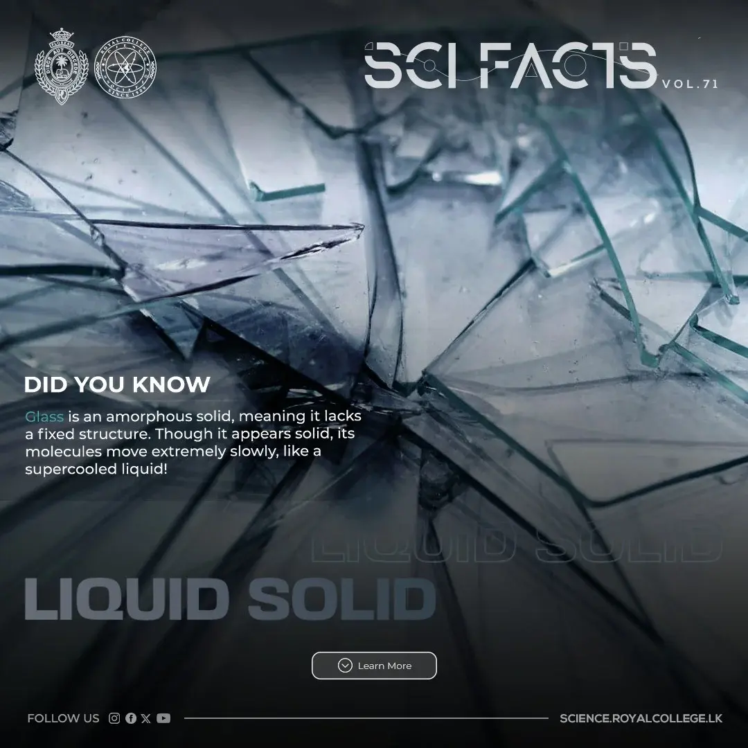 SCI FACTS'25 - Liquid Solid