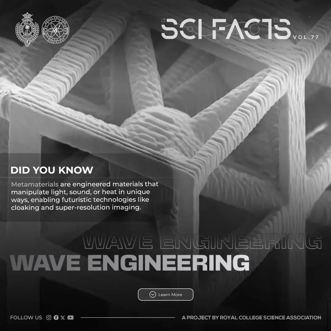 SCI FACTS'25 - Wave Engineering