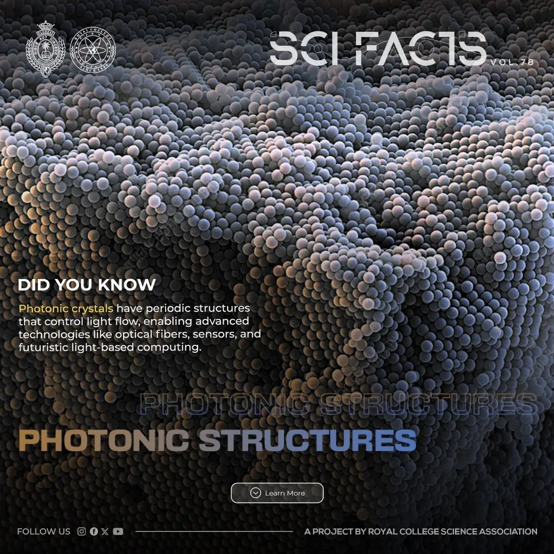 SCI FACTS'25 - Photonic Structures