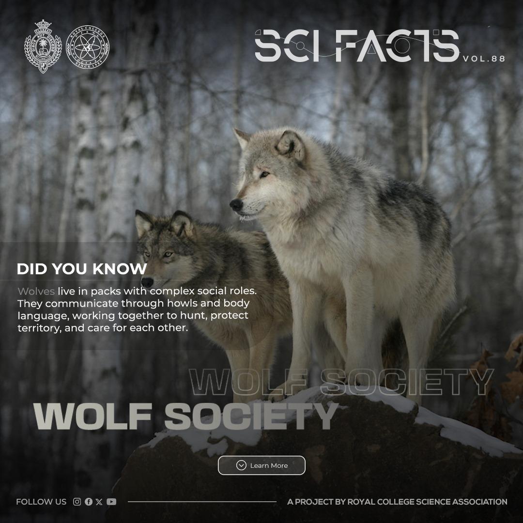 SCI FACTS'25 - Wolf Society