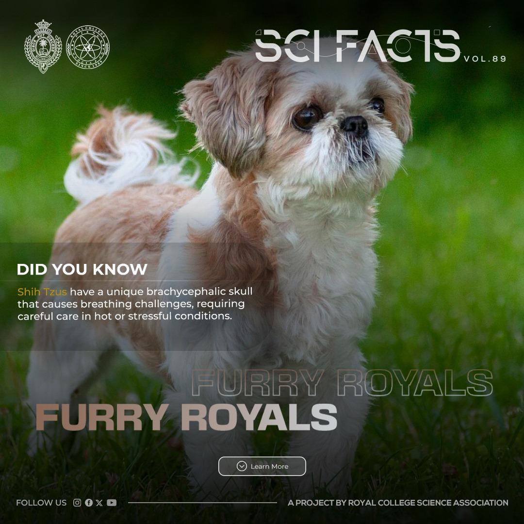 SCI FACTS'25 - Furry Royals